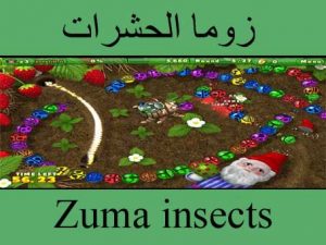 تحميل لعبة زوما الحشرات الجديدة مجانا برابط مباشر وسريع